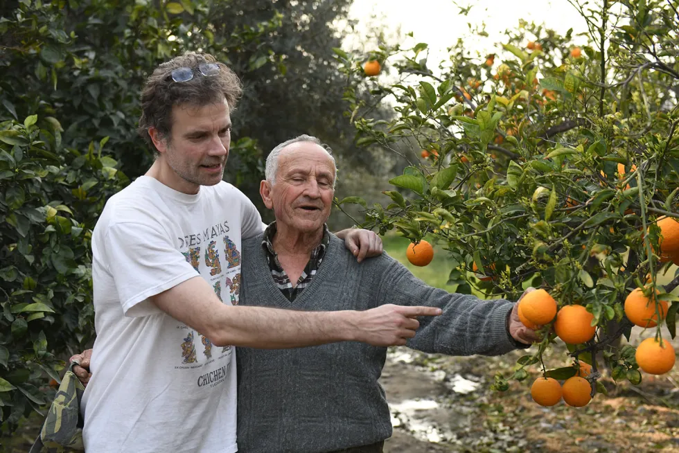 Raffael-Orangen-Plantage